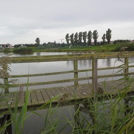 Stacaravan 4Pers In Bredene Met Eigen Tuintje 2449 מראה חיצוני תמונה