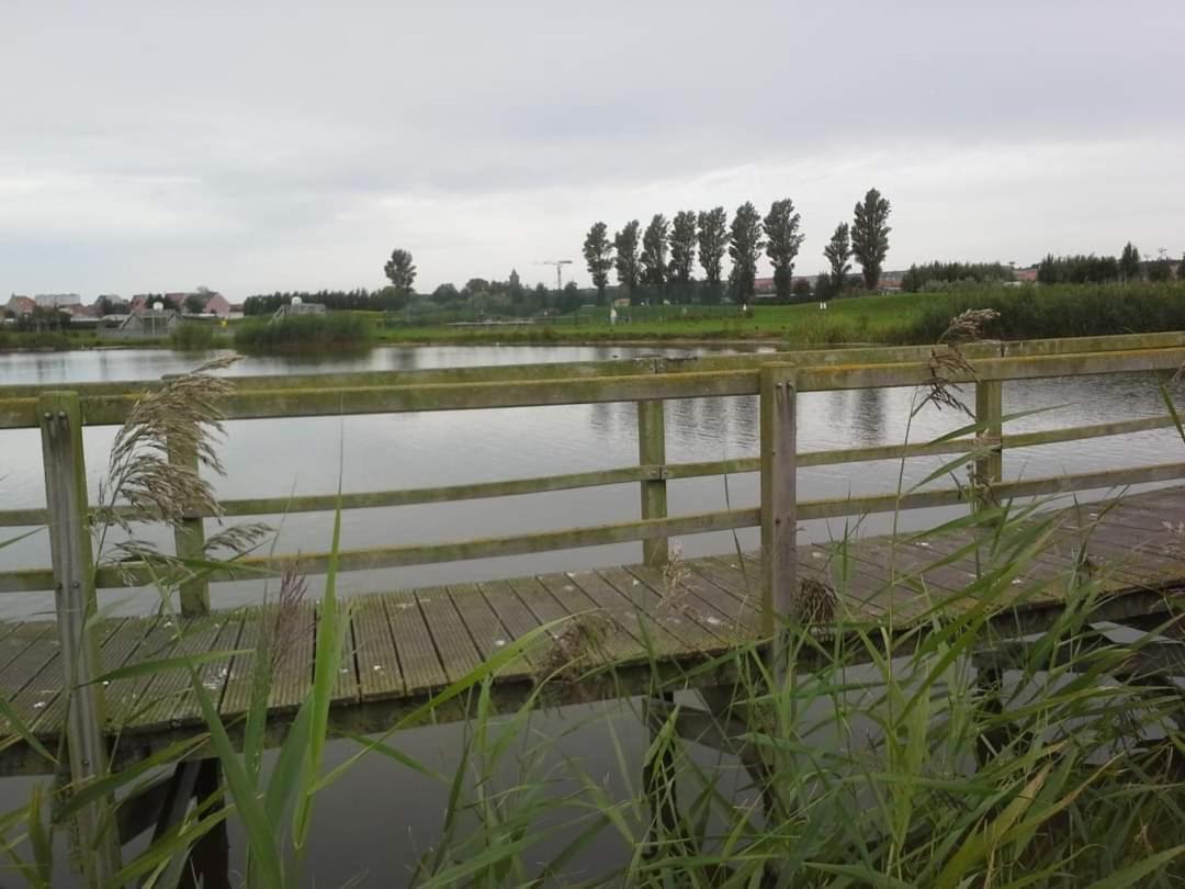 Stacaravan 4Pers In Bredene Met Eigen Tuintje 2449 מראה חיצוני תמונה